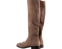 Di Lauro Janine Laarzen