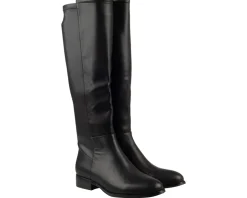 Di Lauro Janine Laarzen