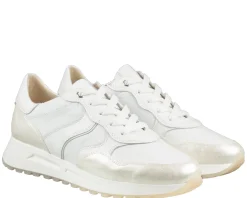 DL Sport 6527 sneakers