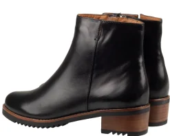 Everybody Belport Enkellaarzen