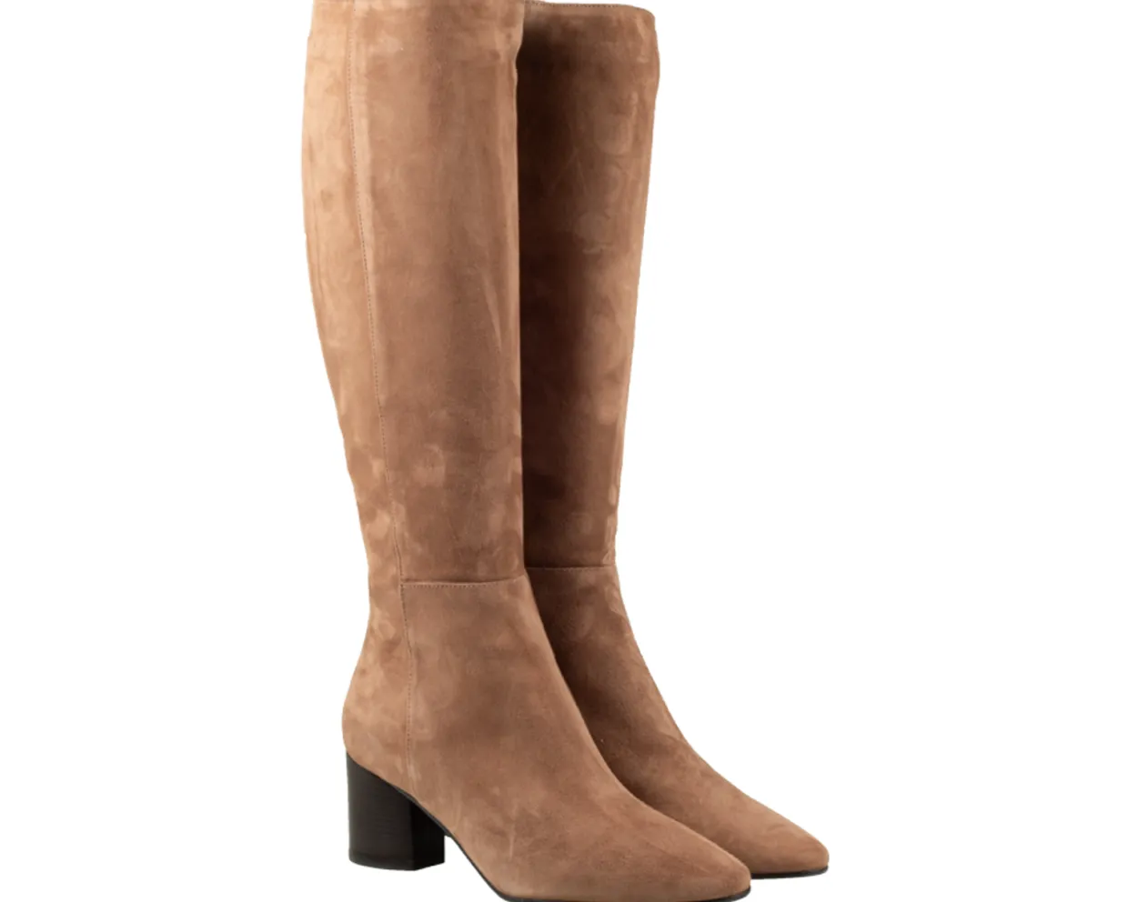 Gioia Valentina Laarzen