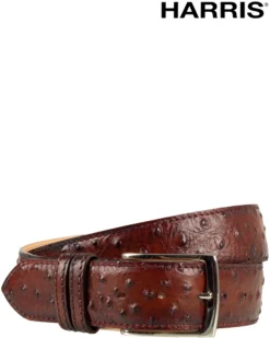 Harris 5 Riem