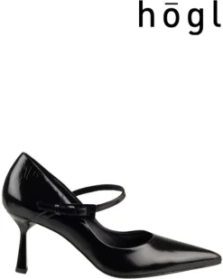 Hogl 8107716 Pumps