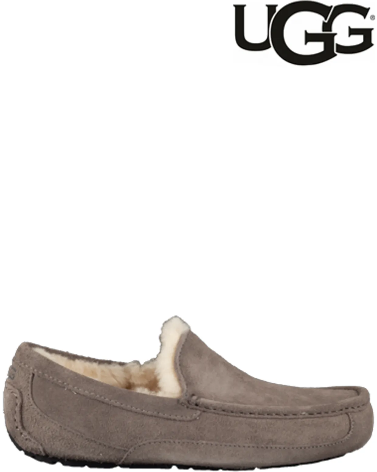 UGG Ascot Pantoffels