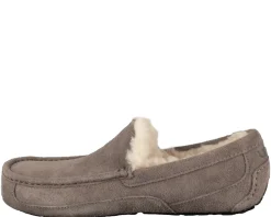 UGG Ascot Pantoffels