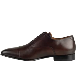 Van Bommel Gira 02.07